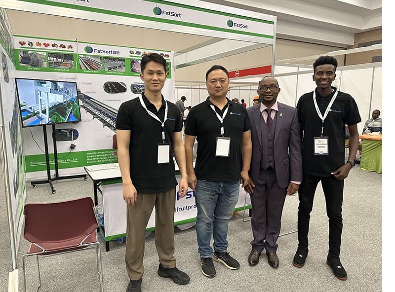 images/1687248443905avocado grading packing line.jpg